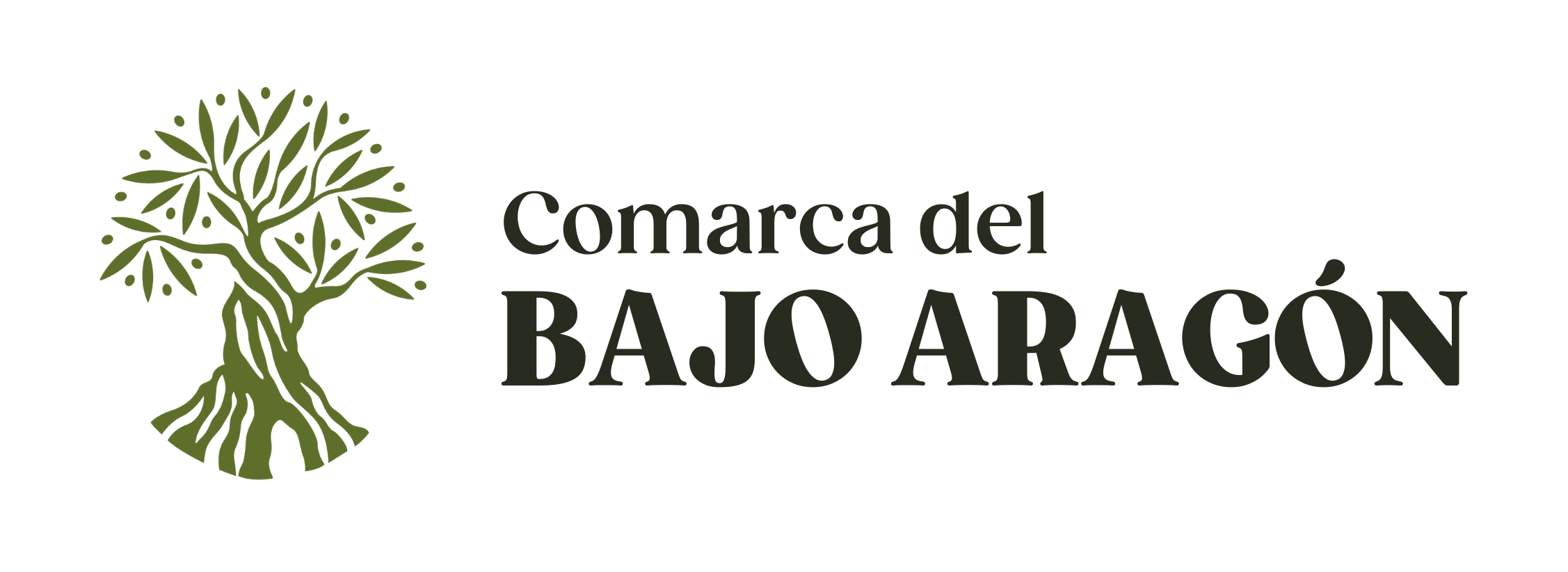 Comarca Bajo Aragon